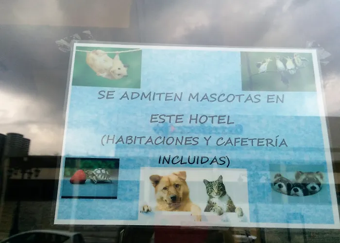 Carbayon Hotel Oviede